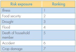 micro insurance risk exposure