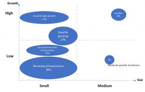  types of SME in Cambodia