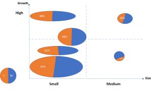 SME by gender of ownership